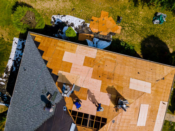 Best Residential Roofing Contractor  in Seward, AK