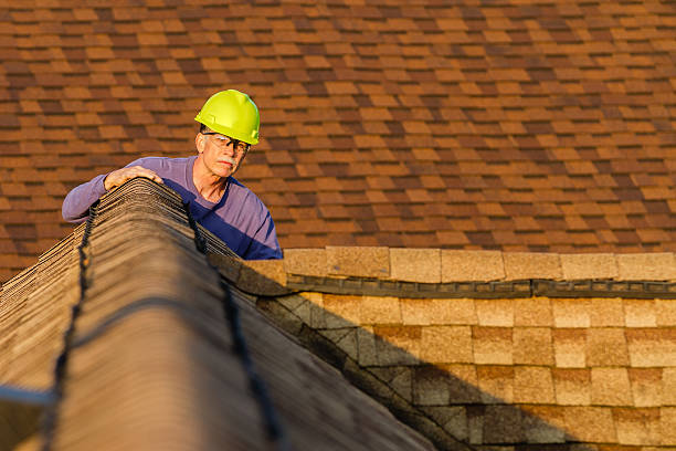 Best Roof Restoration Services  in Seward, AK