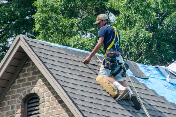 Best Roof Replacement Cost  in Seward, AK